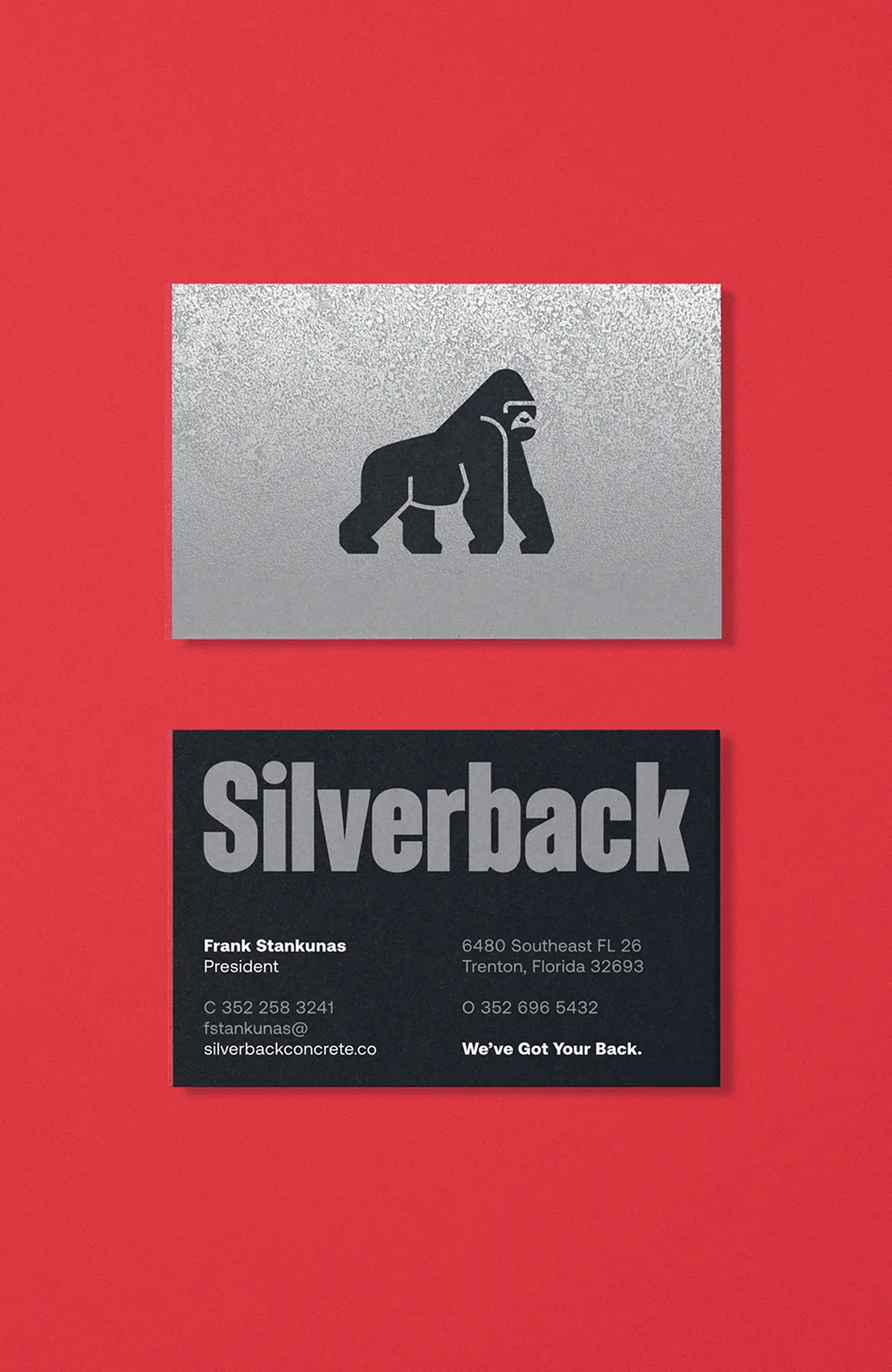 Silverback_ID_Tall_10