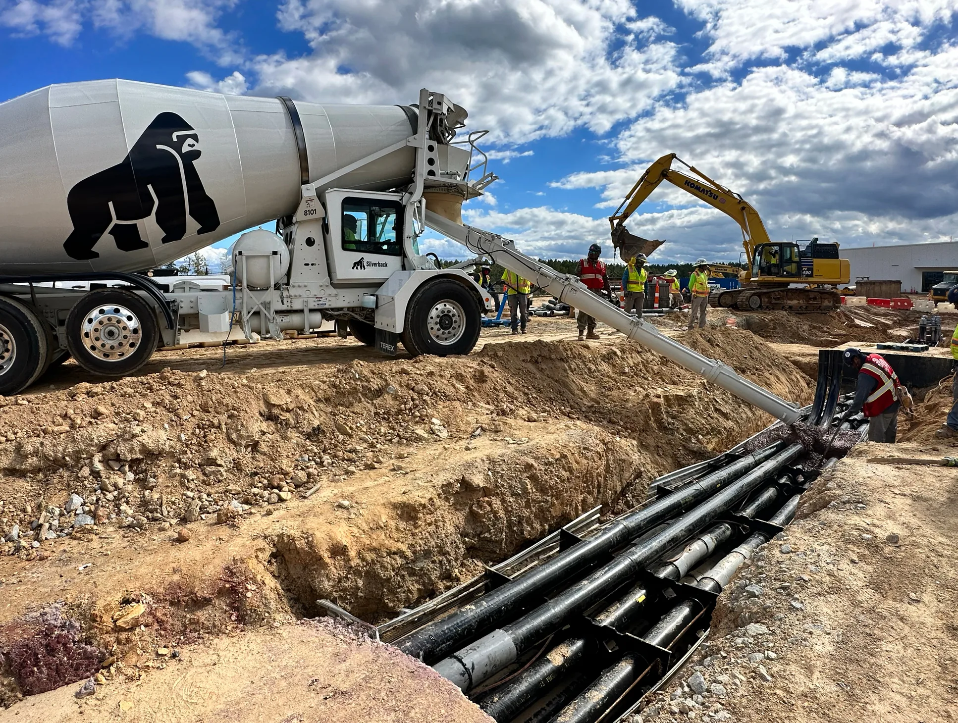 Silverback_ID_Wide_11