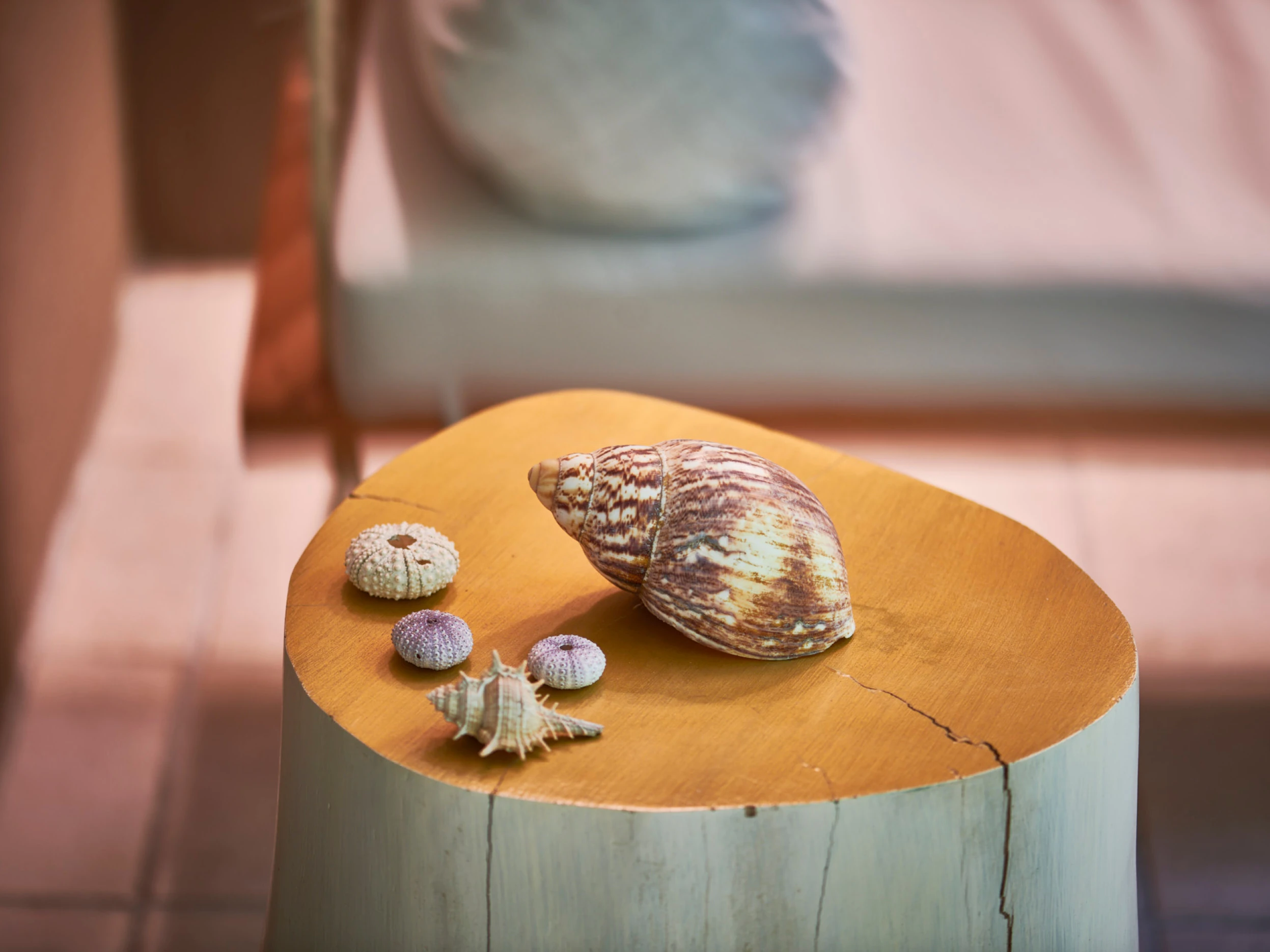 CL_Rooms_1 CL_Rooms_1