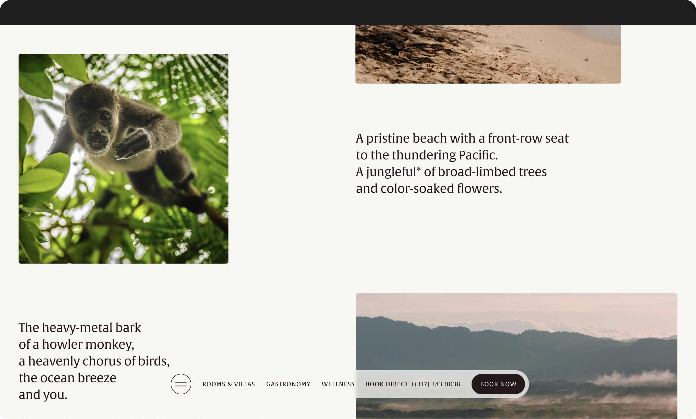 CL_Web_4