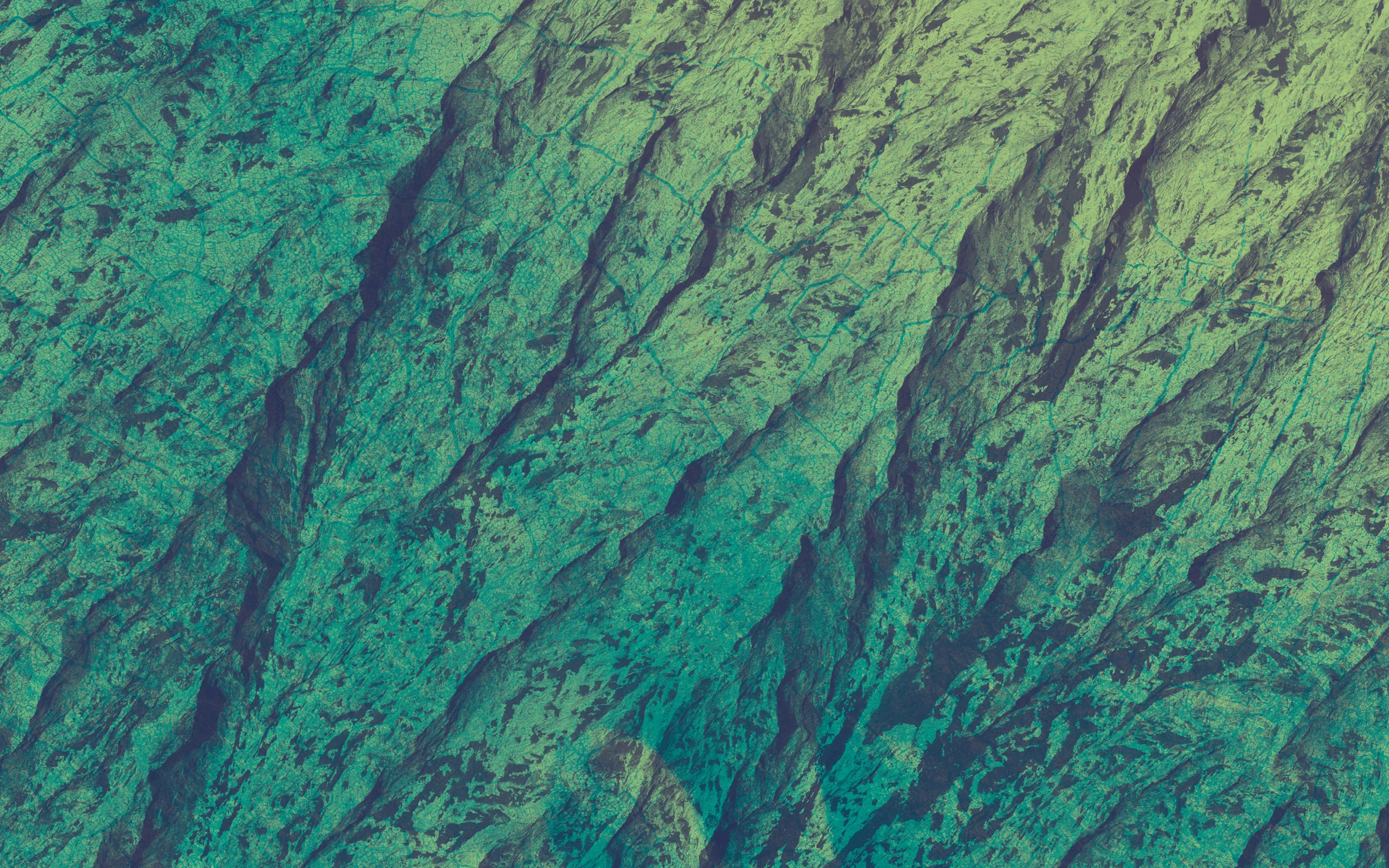 Walden_Endpaper