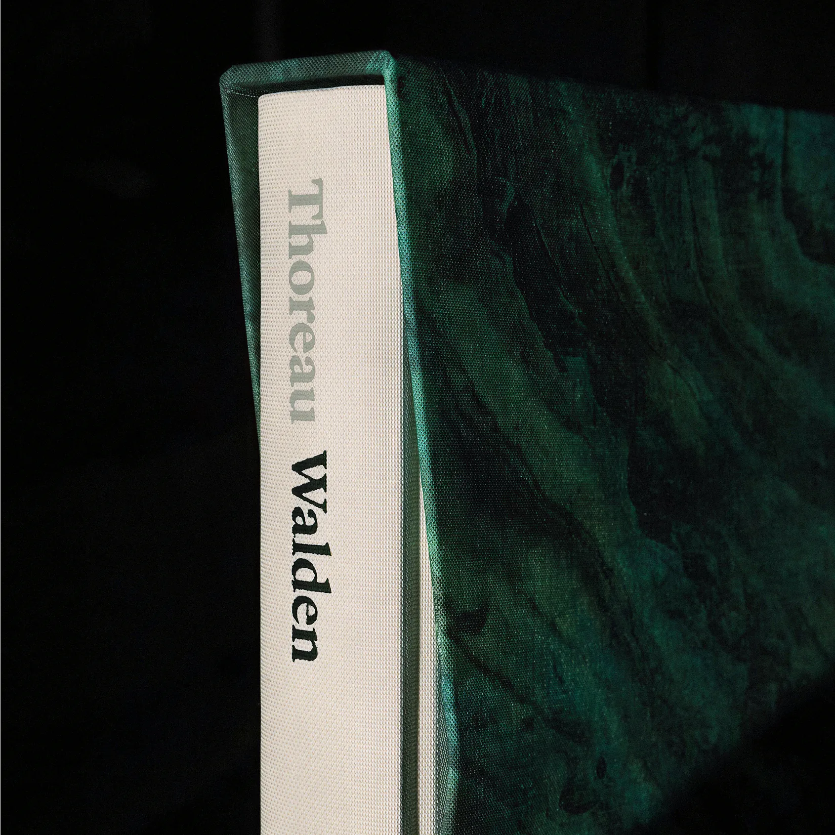 Walden_Spine-Detail