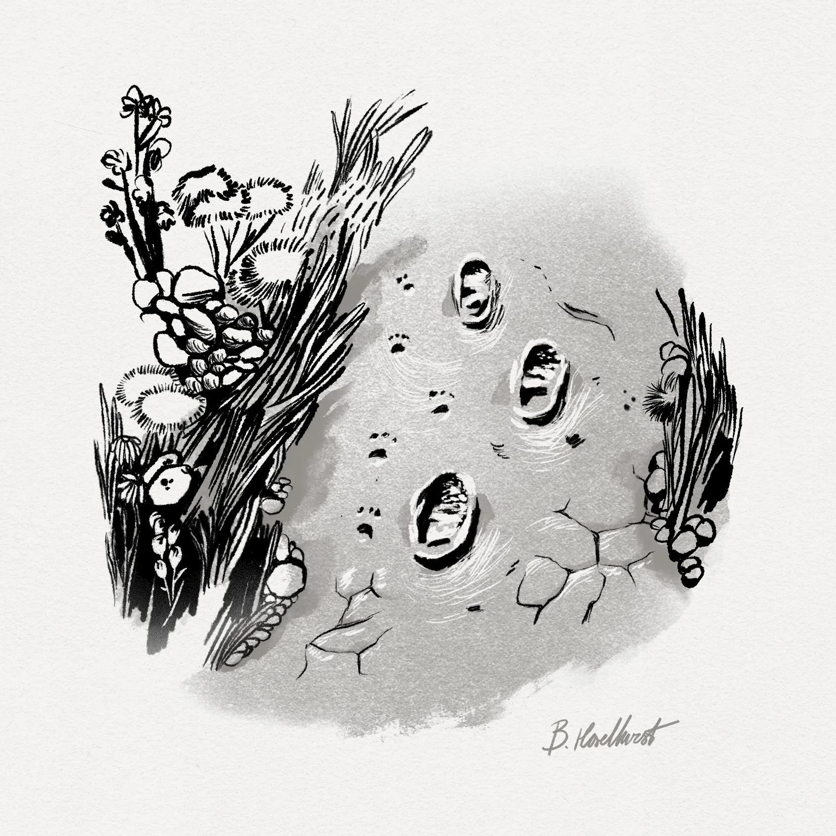 Walden_Spot_12