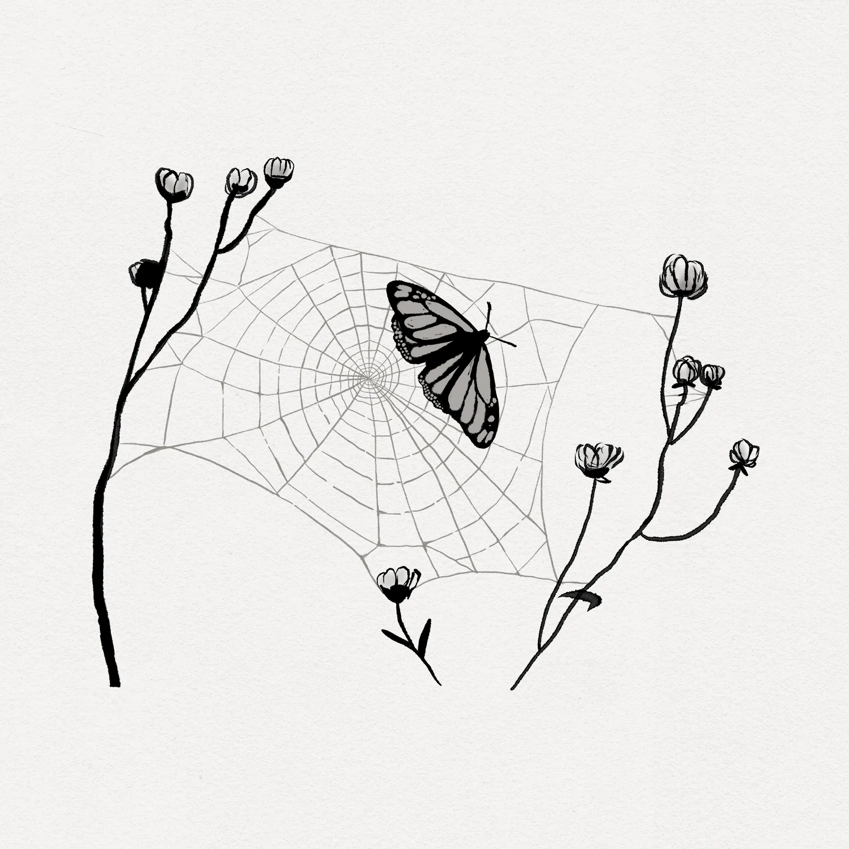Walden_Spot_4
