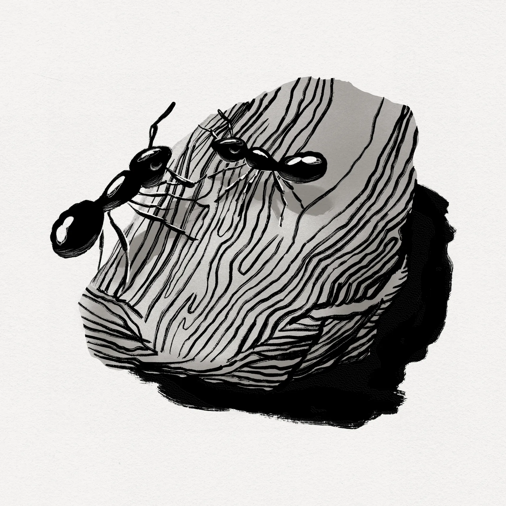 Walden_Spot_8