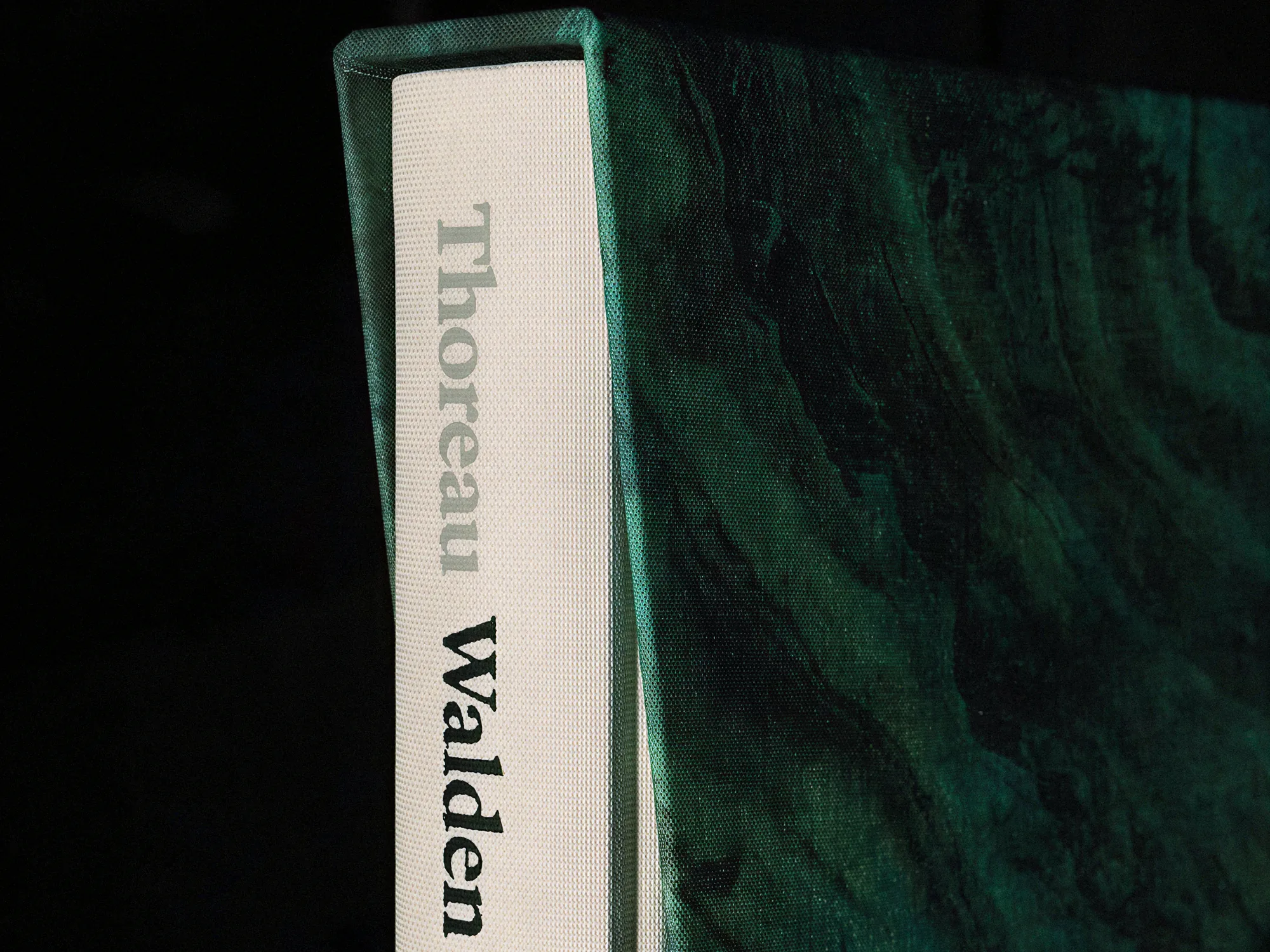 The New Walden
